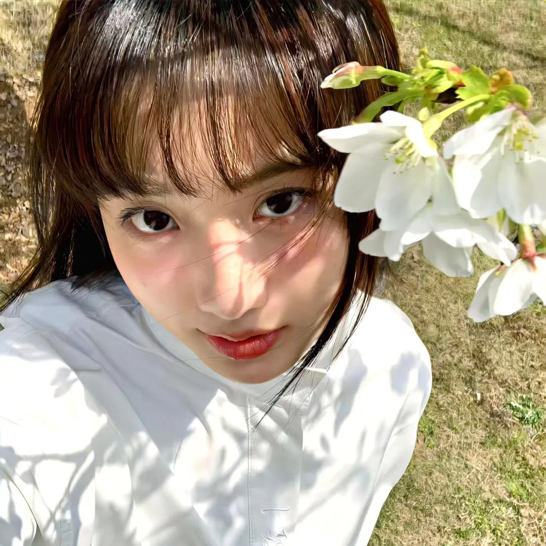 素材采集家的异世界旅行记